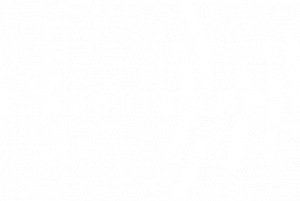 logo INP Grenoble