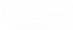 logo Université Savoie Mont Blanc